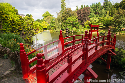 Image of Red bridge in Japanese garden