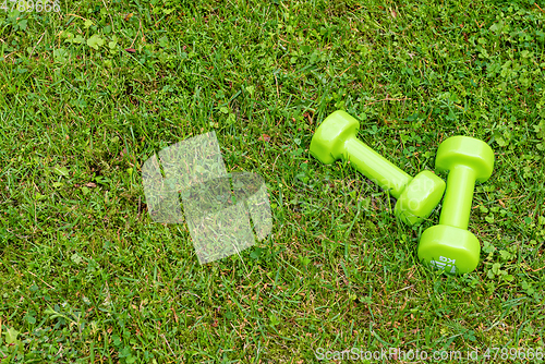 Image of Green ladie's dumbbles on the green grass background