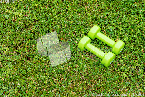 Image of Green ladie's dumbbles on the green grass background