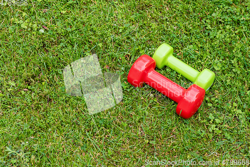 Image of Ladie's dumbbles on the green grass background