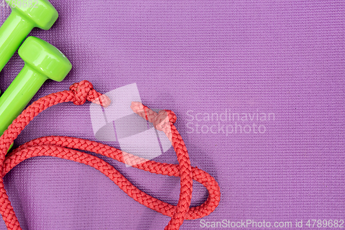 Image of Ladie's dumbbles and skipping rope over purple fitness mat, top view.