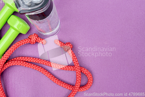 Image of Ladie's dumbbles, water bottle and skipping rope over purple fitness mat, top view.