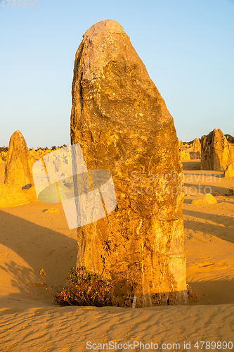 Image of Pinnacles Desert in western Australia