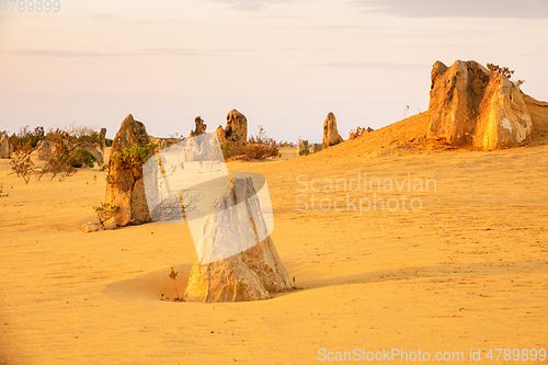 Image of Pinnacles Desert in western Australia
