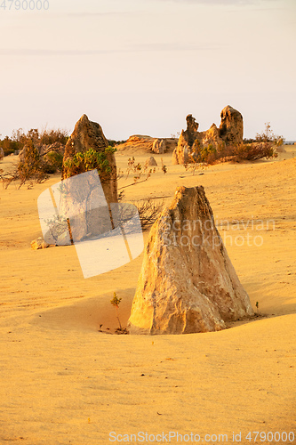 Image of Pinnacles Desert in western Australia