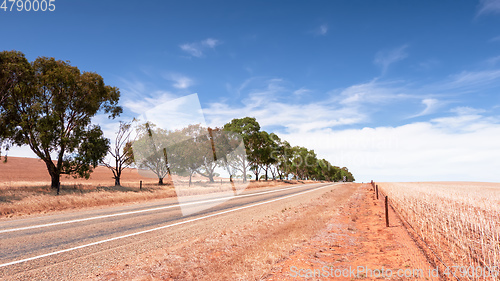 Image of road in dry south Australia