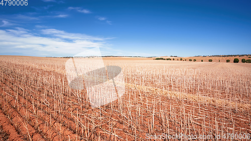 Image of south australia agriculture dry field