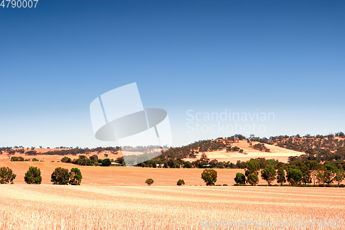 Image of south australia agriculture dry field