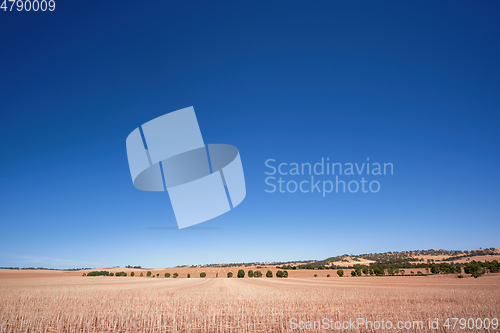 Image of south australia agriculture dry field