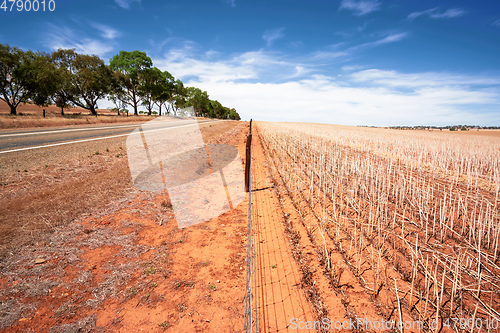 Image of south australia agriculture dry field