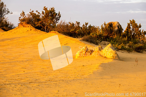 Image of Pinnacles Desert in western Australia