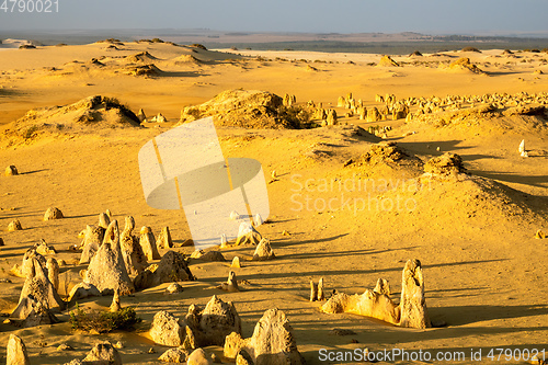 Image of Pinnacles Desert in western Australia