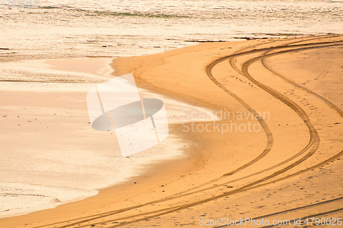 Image of Tire tracks on the beach