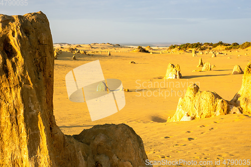 Image of Pinnacles Desert in western Australia