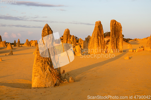 Image of Pinnacles Desert in western Australia