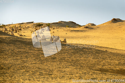 Image of Pinnacles Desert in western Australia