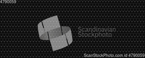 Image of black and white honeycomb