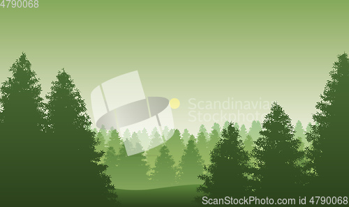 Image of black forest in Germany