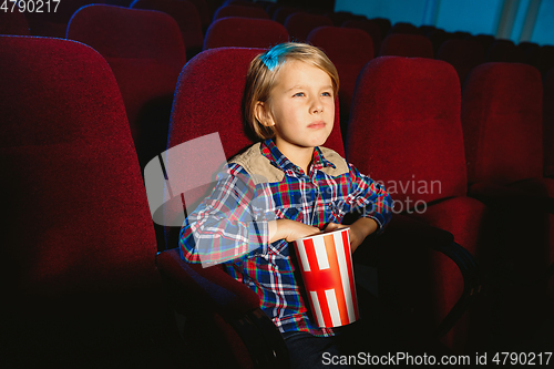 Image of Little boy watching a film at a movie theater