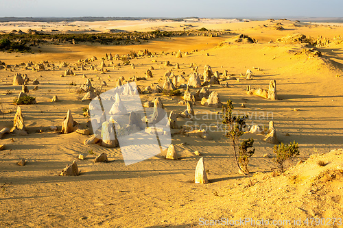 Image of Pinnacles Desert in western Australia