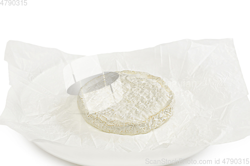 Image of Delicious cheese close up isolated on white studio background