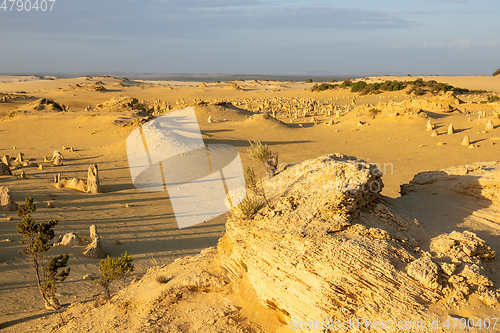 Image of Pinnacles Desert in western Australia