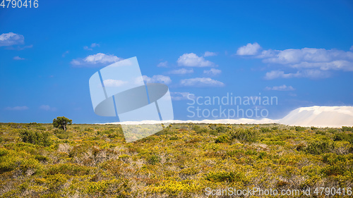 Image of white dune in Western Australia