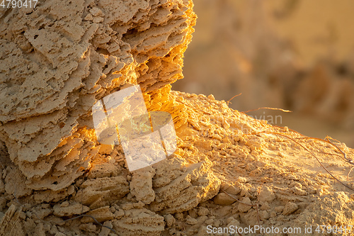 Image of Rock detail at Pinnacles Desert in western Australia