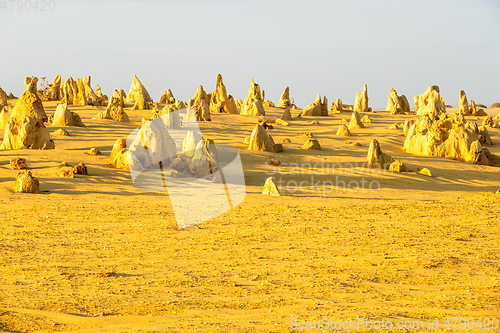 Image of Pinnacles Desert in western Australia