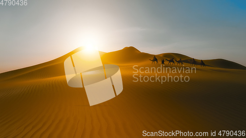 Image of desert dunes caravan at sunset