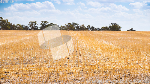 Image of dry field in South Australia