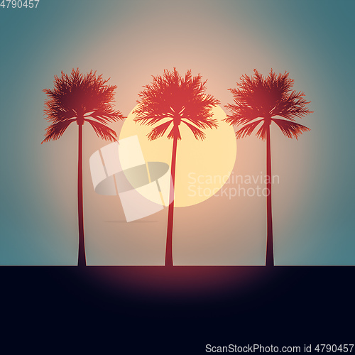 Image of beautiful palm trees sunset background