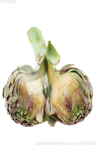 Image of fresh artichoke isolated