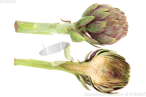 Image of fresh artichoke isolated