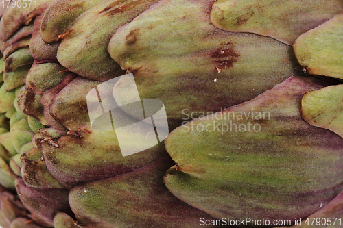 Image of fresh artichoke texture