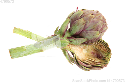 Image of fresh artichoke isolated