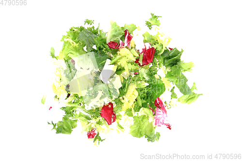 Image of fresh color lettuce 