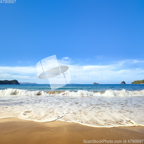 Image of aerial view of Hahei Beach New Zealand