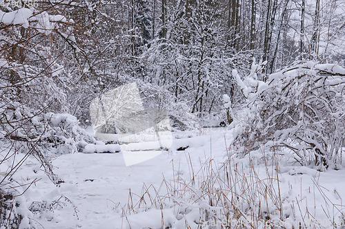 Image of Winter landscape of frozen Lesna River