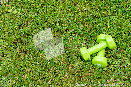 Image of Green ladies dumbbells on the green grass background