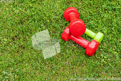 Image of Ladie's dumbbells on the green grass background