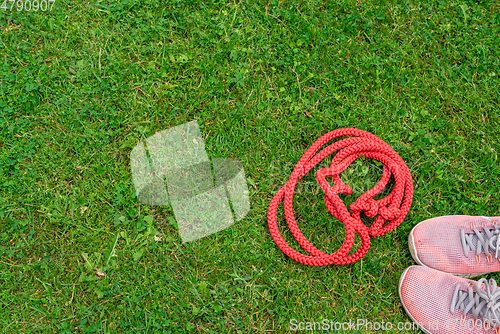 Image of Skipping rope and sneakers on the green grass background