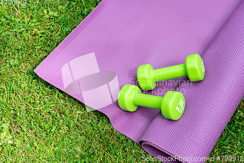 Image of Ladie's dumbbells over purple fitness mat, top view.