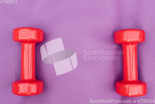 Image of Ladie's dumbbells over purple fitness mat, top view.