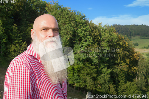 Image of white bearded man in the forest