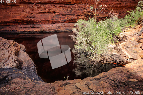 Image of Kings Canyon in center Australia