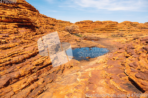 Image of Kings Canyon in center Australia