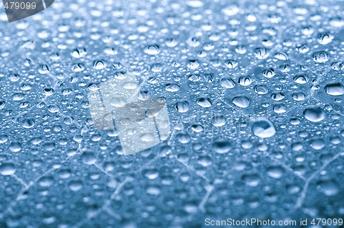 Image of waterdrops