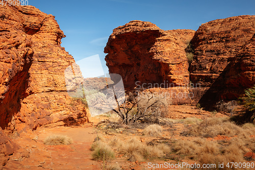 Image of Kings Canyon in center Australia