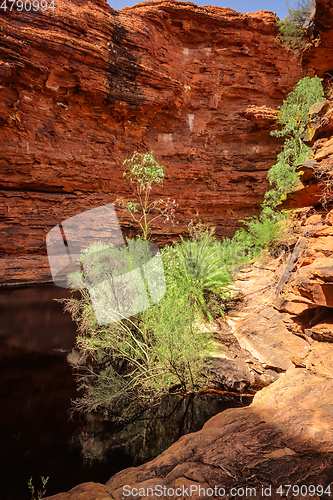 Image of Kings Canyon in center Australia